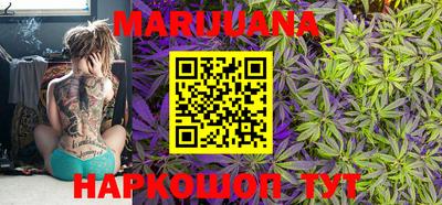 стафф Донецк