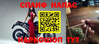 стафф Донецк
